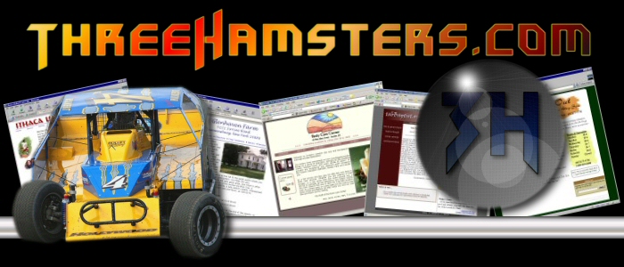 Online Marketing and More